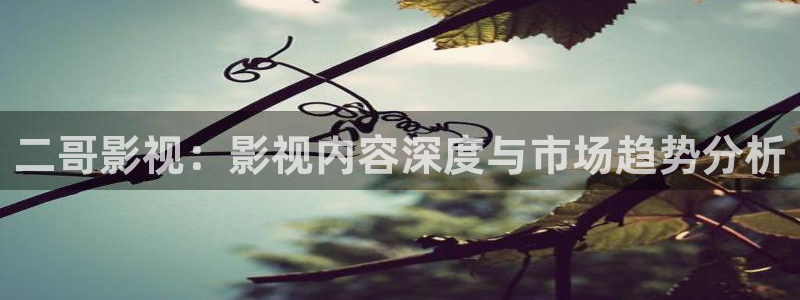 97在线视频播放免费观看不卡